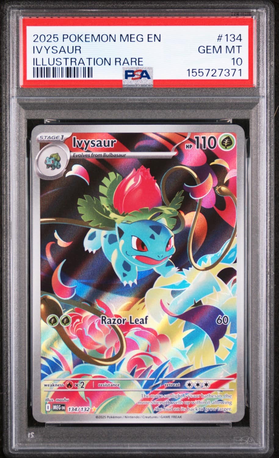 Ivysaur