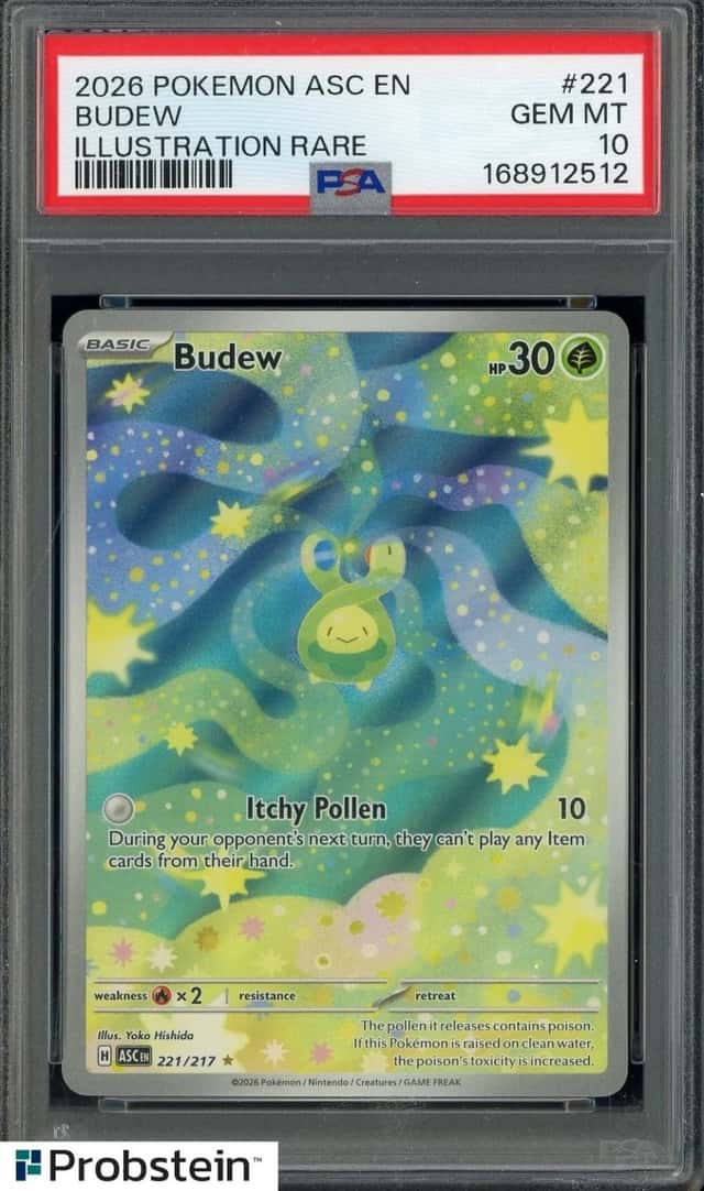 Budew