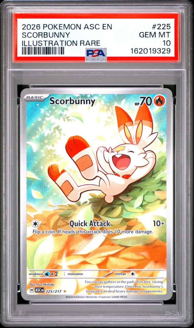 Scorbunny
