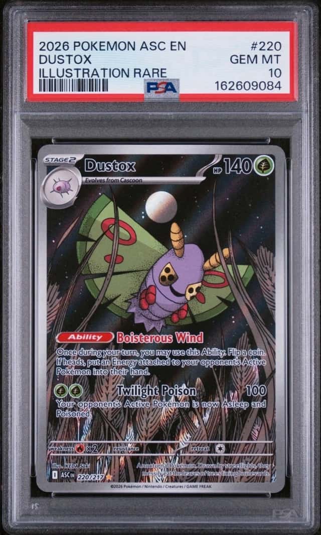 Dustox