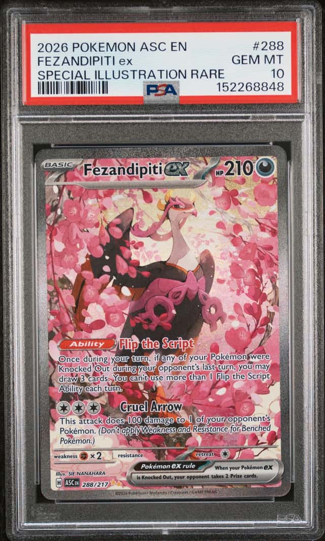 FEZANDIPITI ex