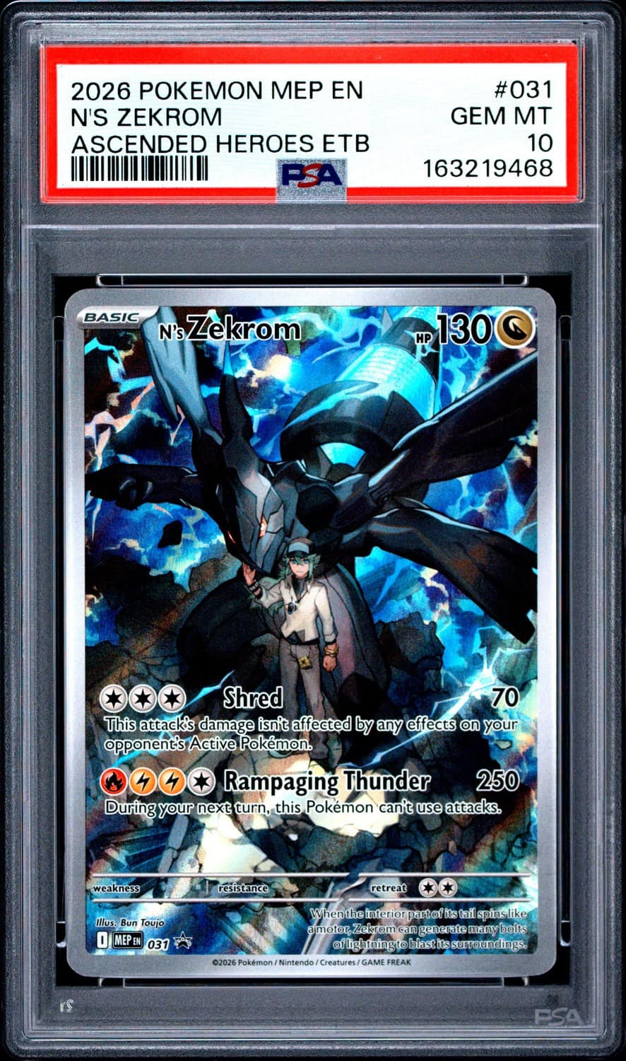 N'S Zekrom