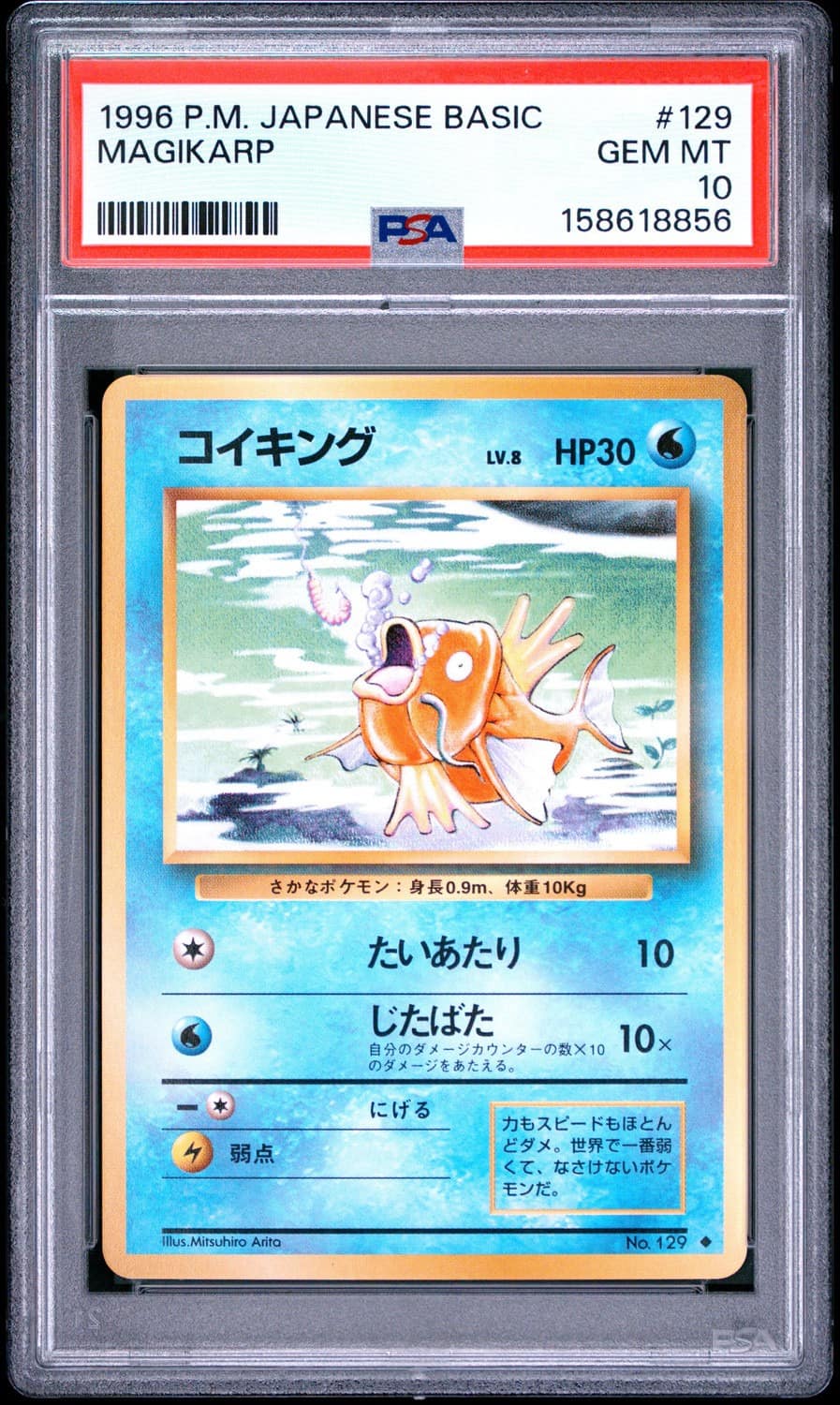 Magikarp