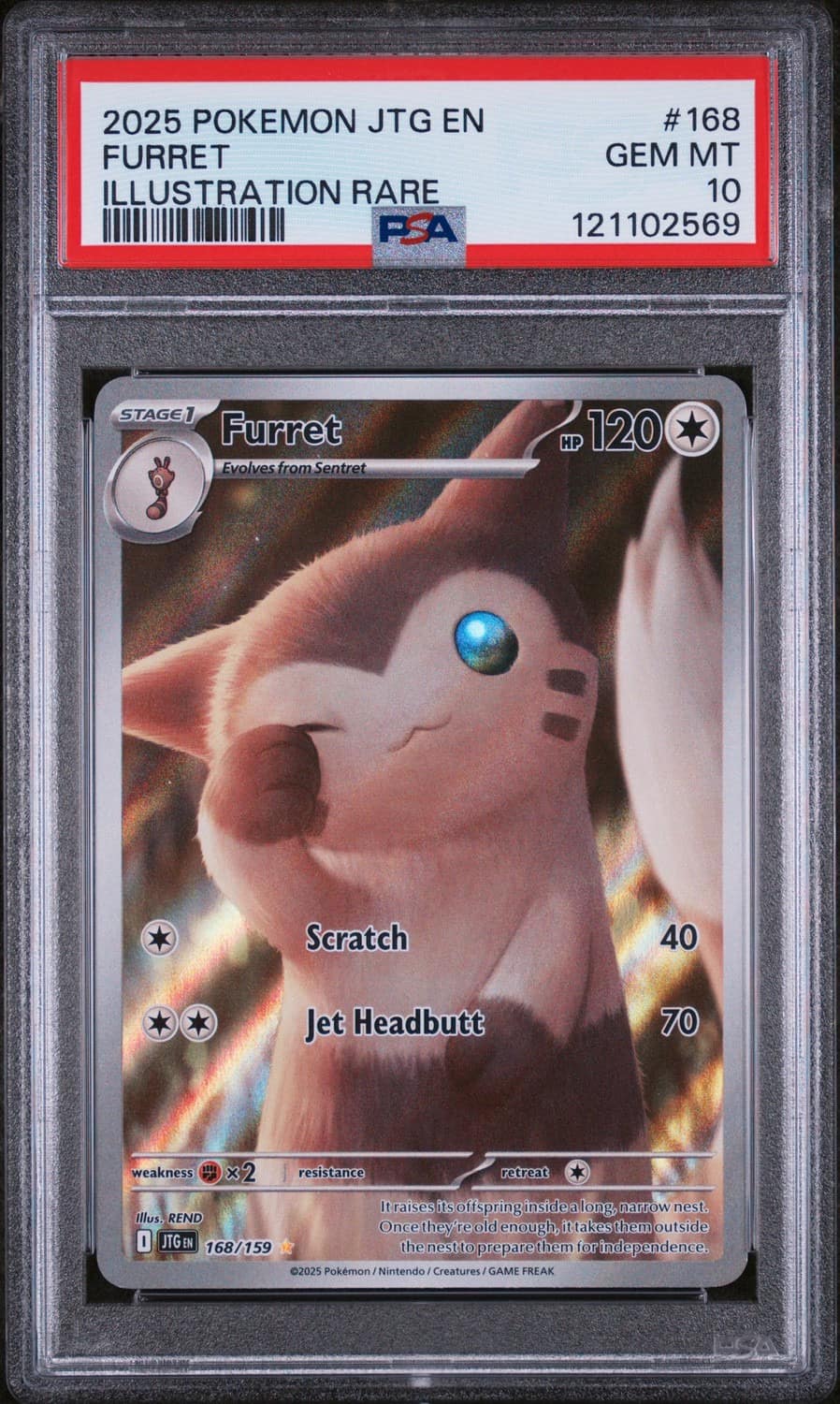 Furret