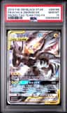 Pikachu & Zekrom Gx