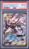 Pikachu & Zekrom Gx