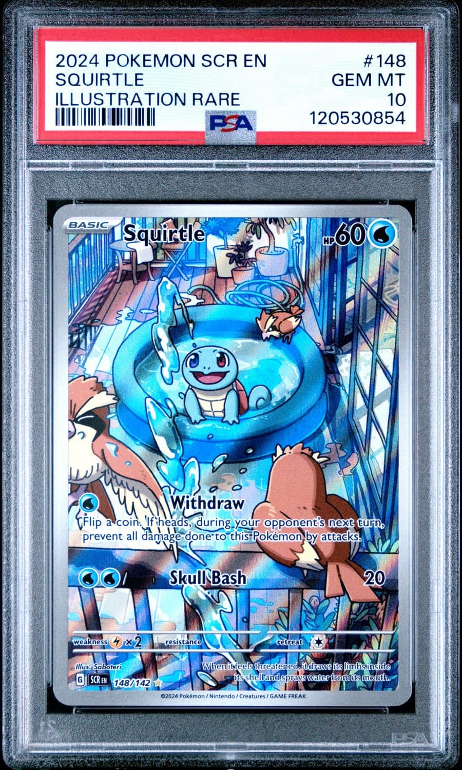 Squirtle