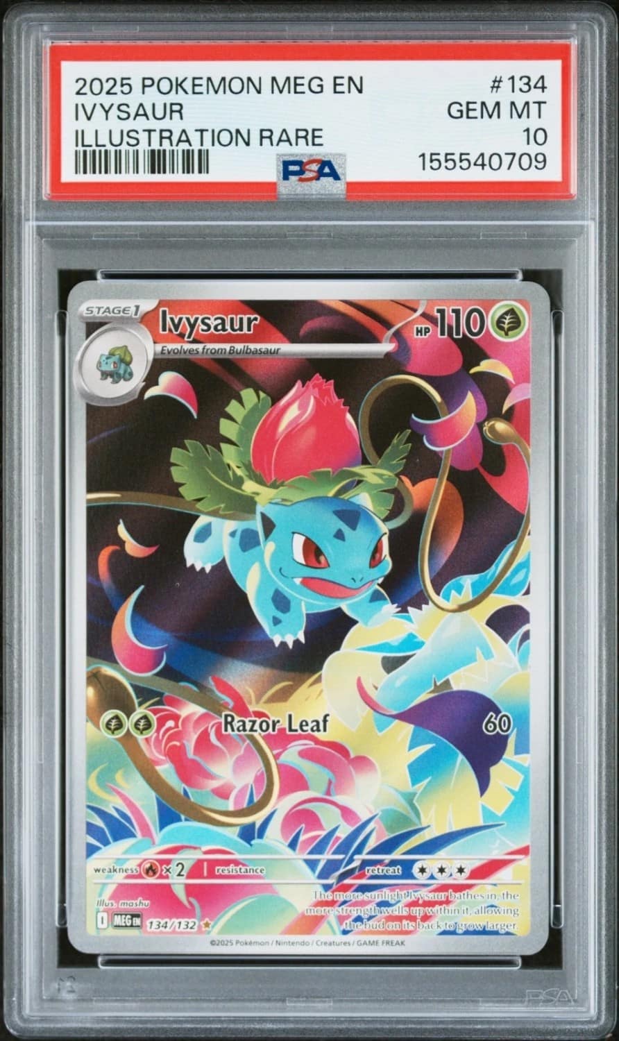 Ivysaur