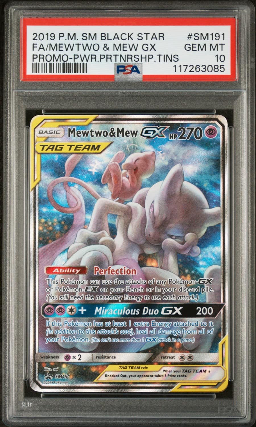 Mewtwo & Mew Gx