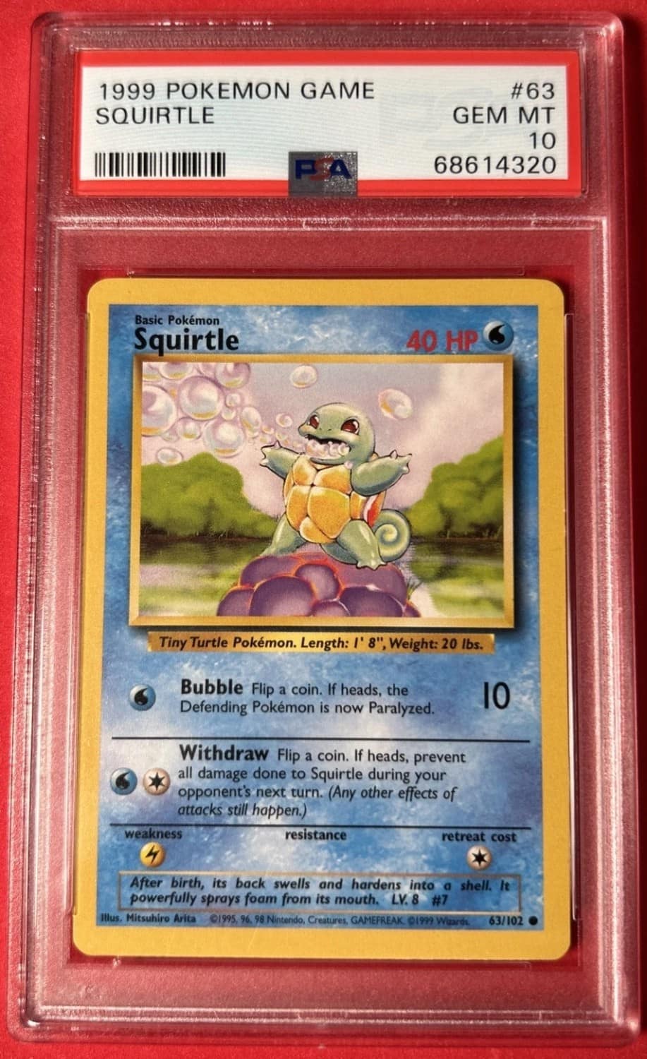 Squirtle
