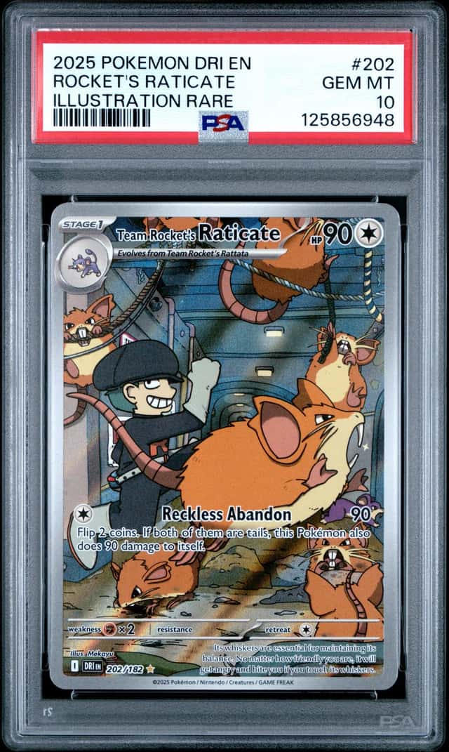 Rocket's Raticate