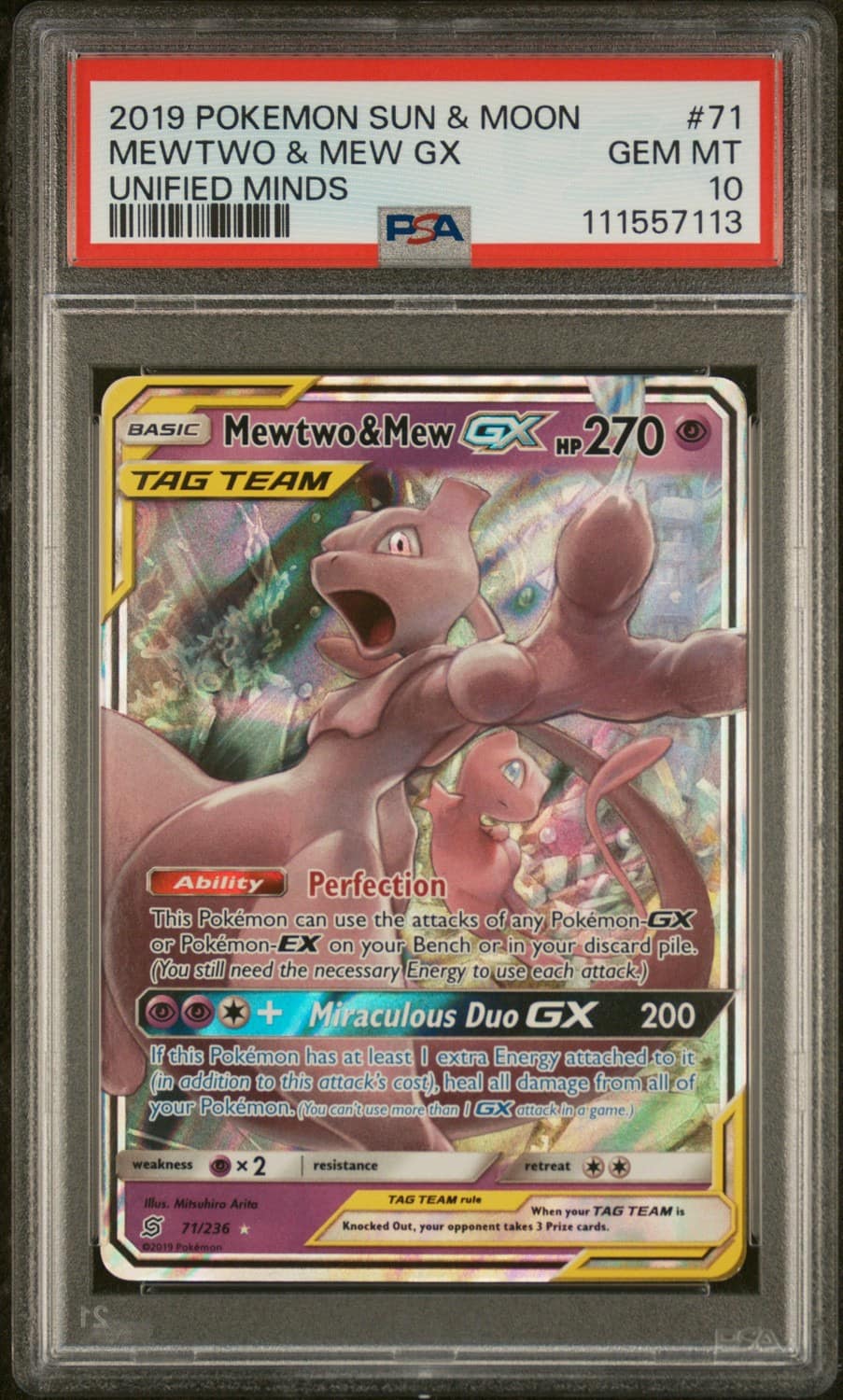 Mewtwo & Mew Gx
