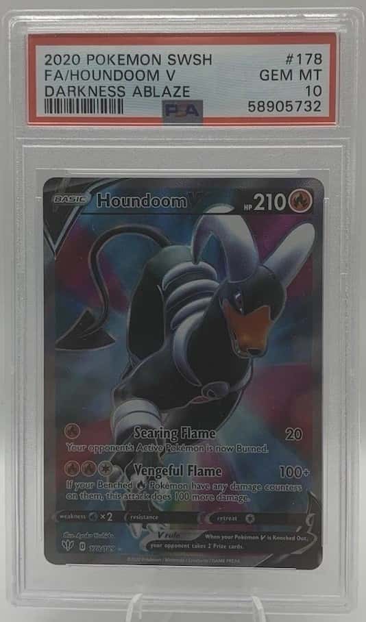 Houndoom V