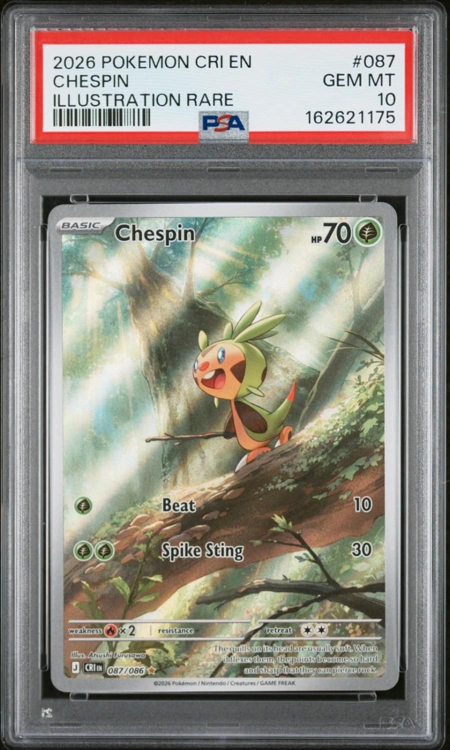 Chespin