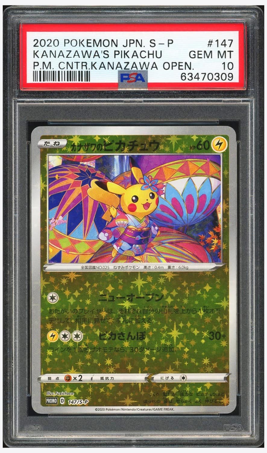 Kanazawa'S Pikachu