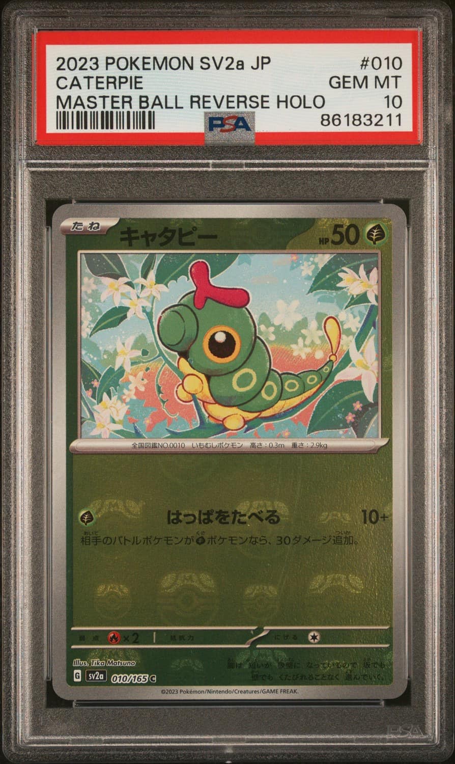 Caterpie