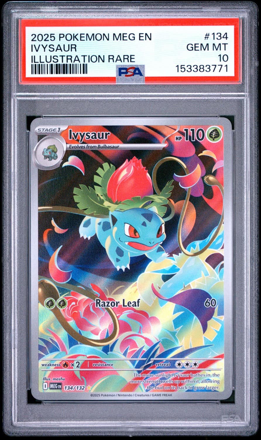 Ivysaur
