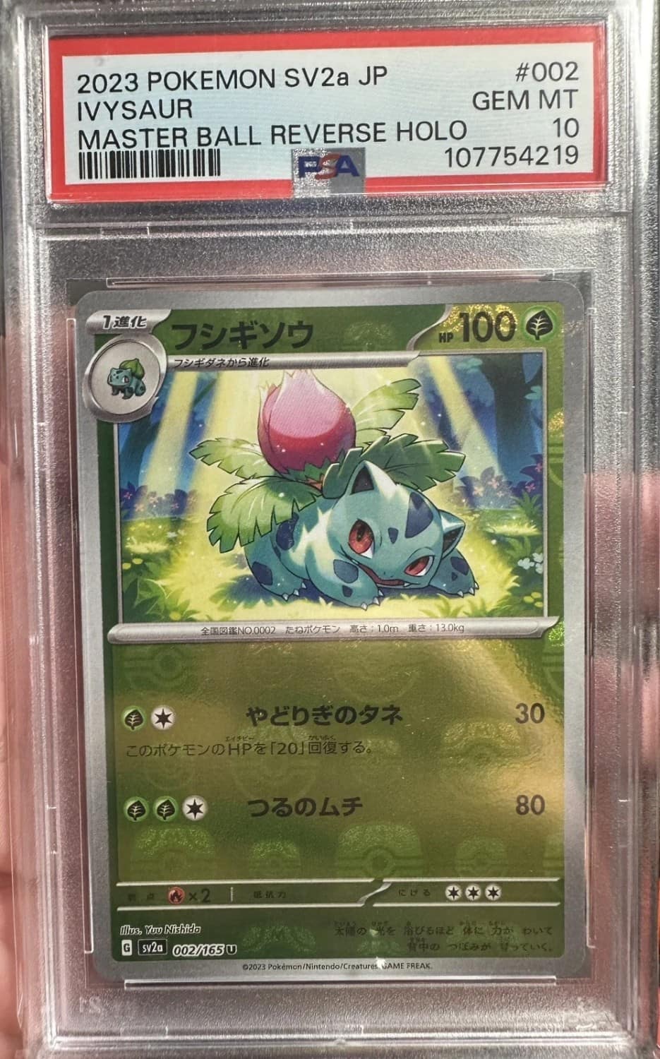 Ivysaur