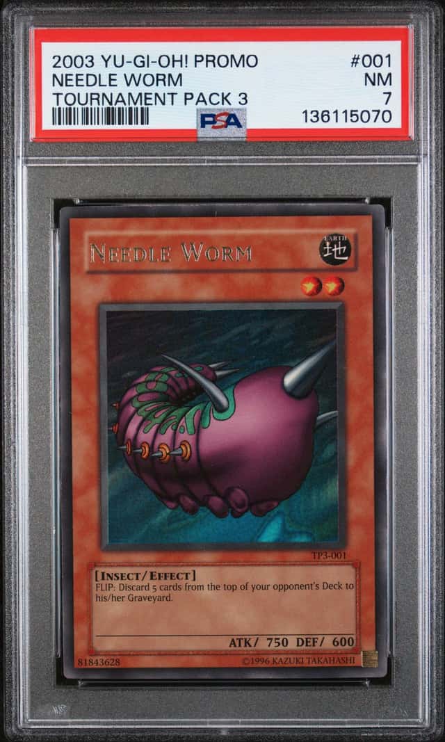 Needle Worm