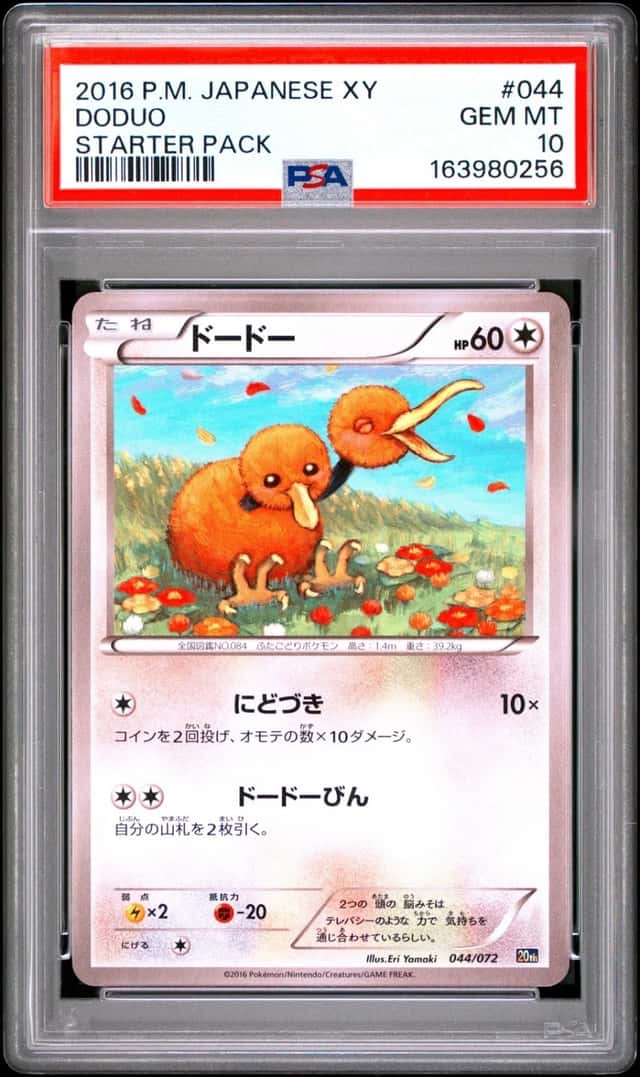 Doduo