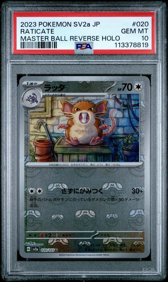 Raticate