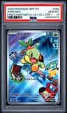 Turtwig
