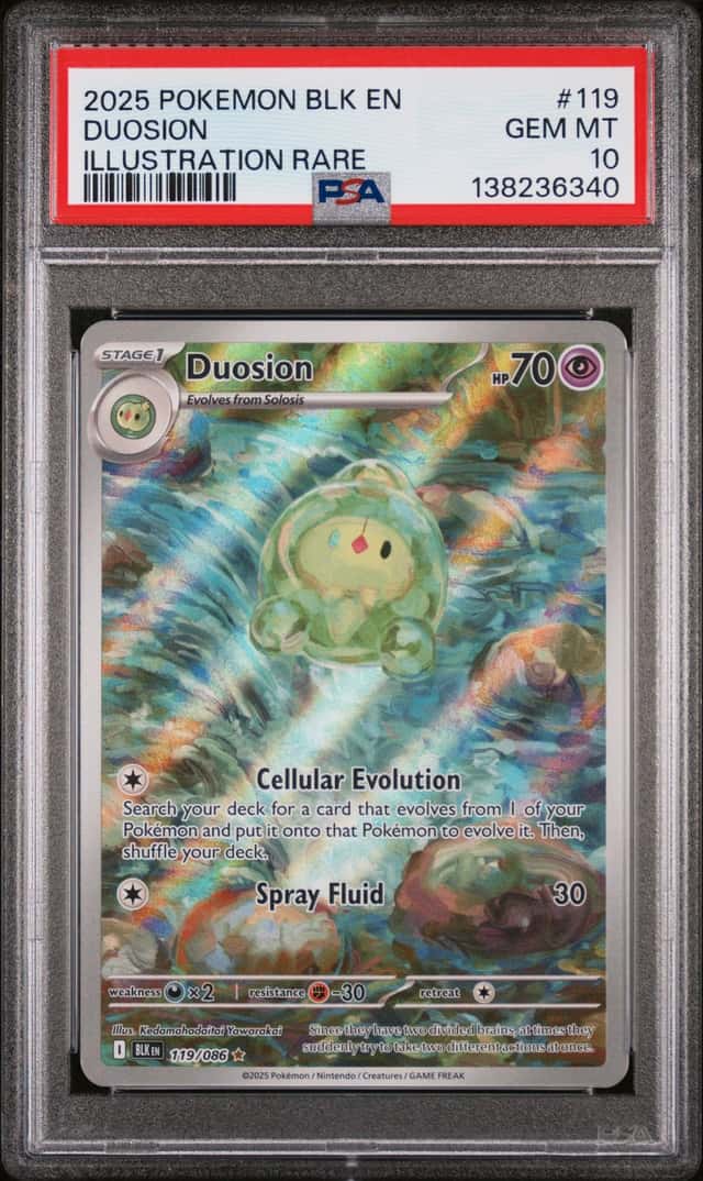 Duosion