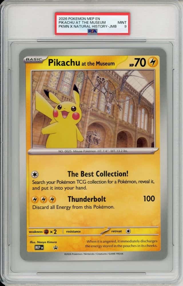 Pikachu At The Museum