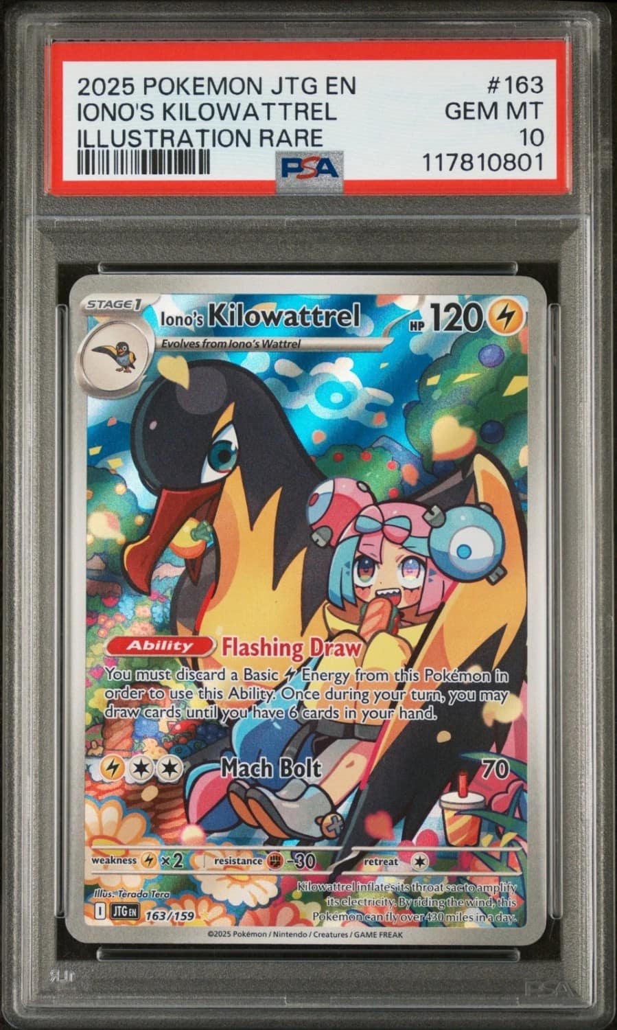 Iono'S Kilowattrel