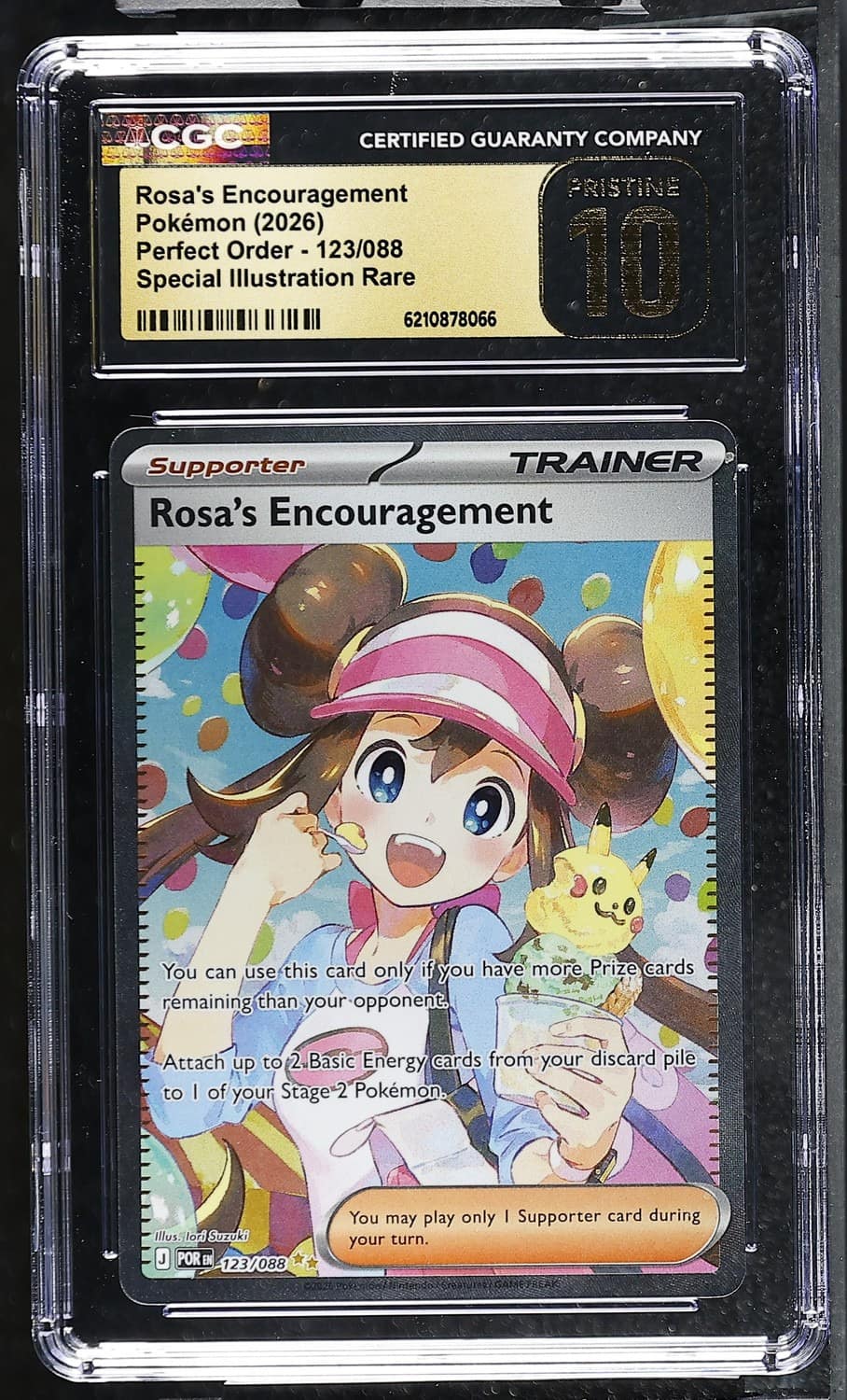 Rosa'S Encouragement