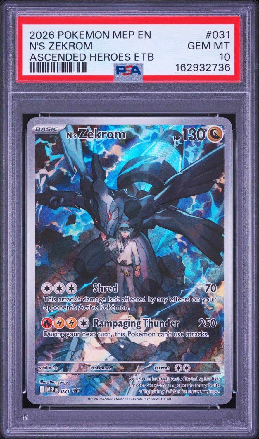 N'S Zekrom