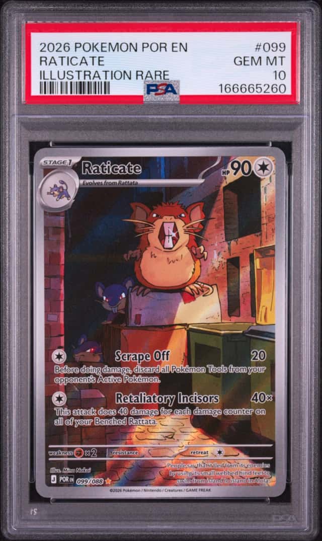 Raticate
