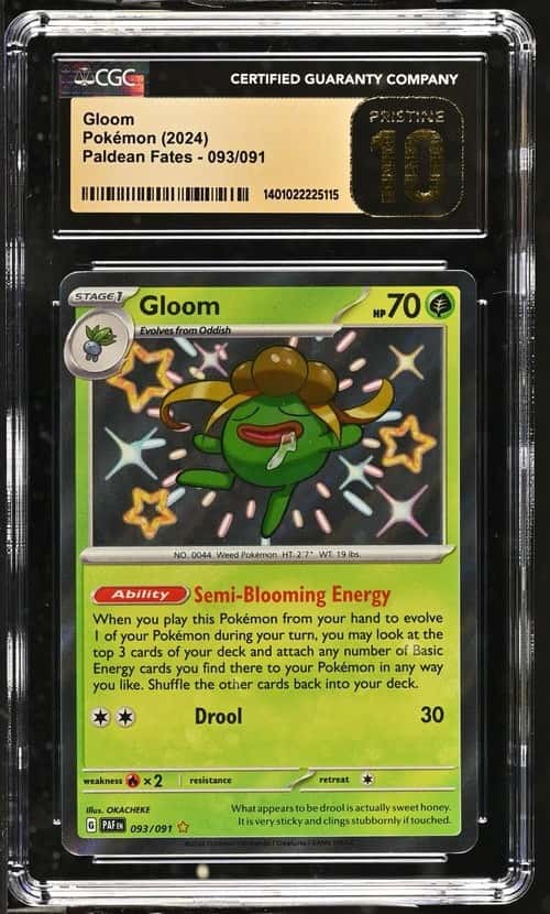 Gloom
