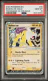 Raikou Ex