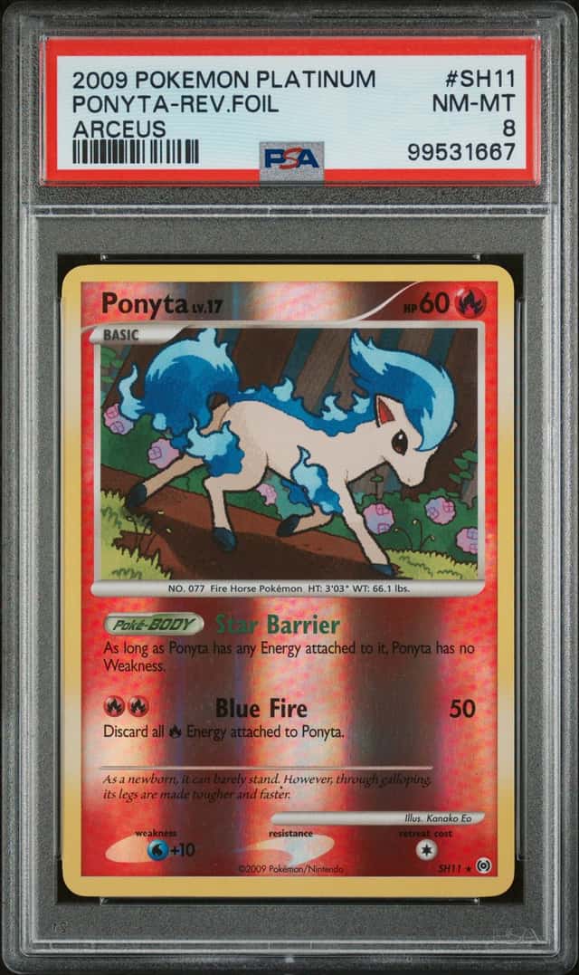 Ponyta
