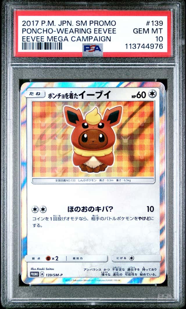 Poncho-Wearing Eevee