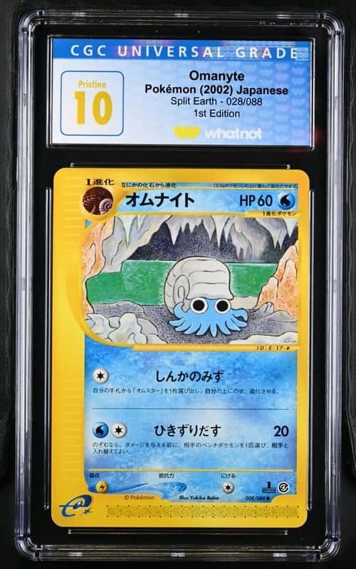 Omanyte