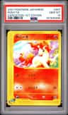 Ponyta