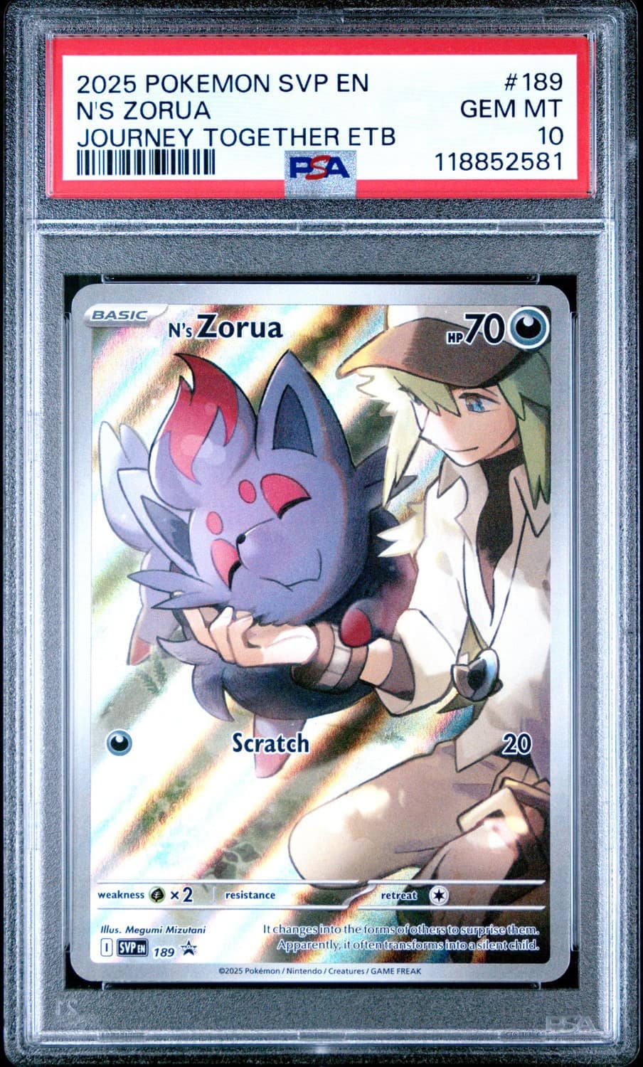 N'S Zorua