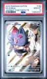 N'S Zorua