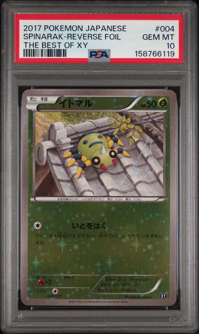 SPINARAK-REVERSE FOIL