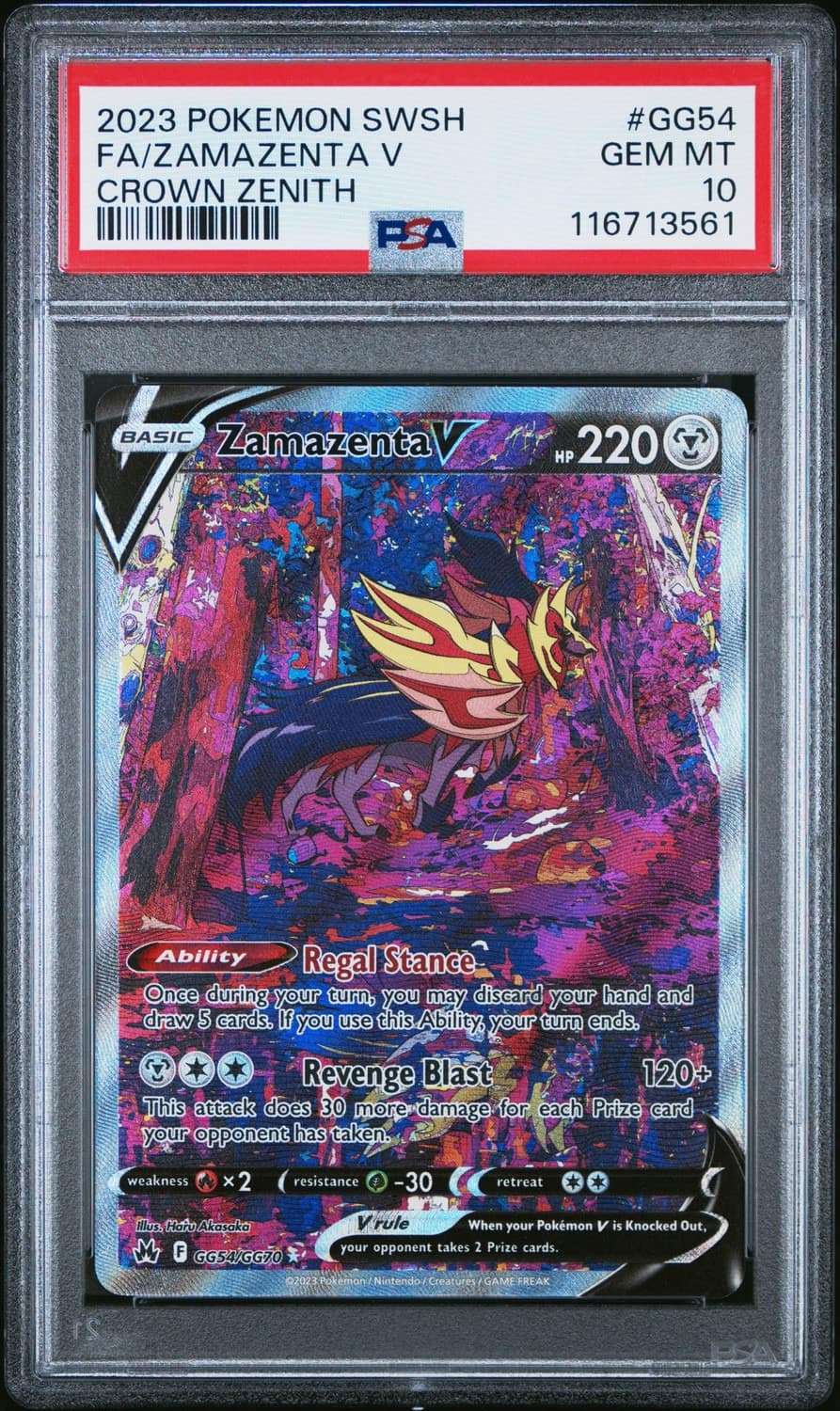 Zamazenta V