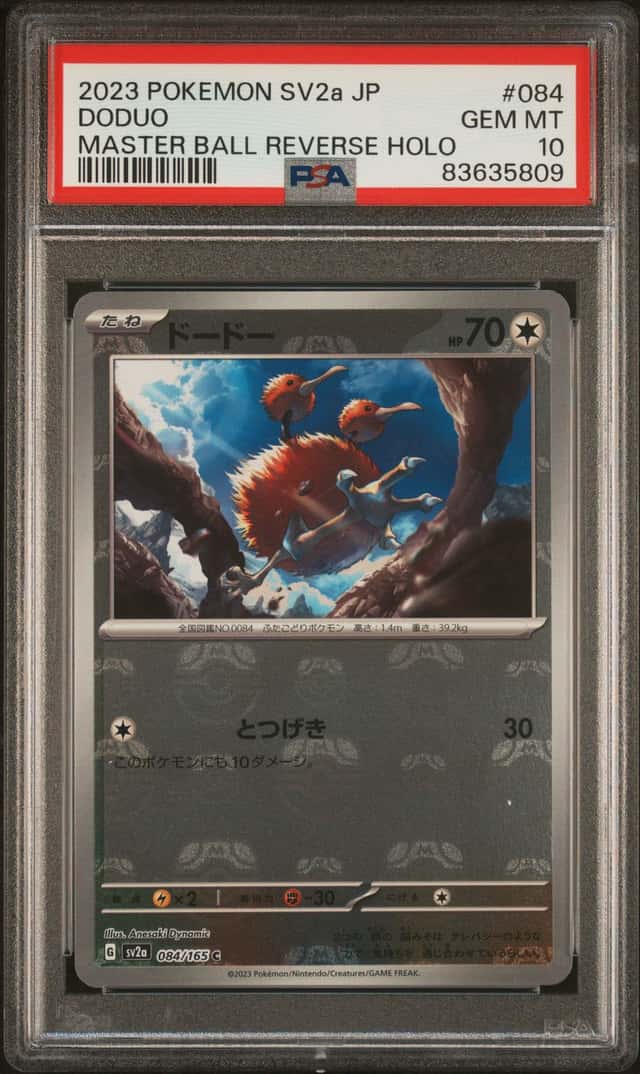 Doduo