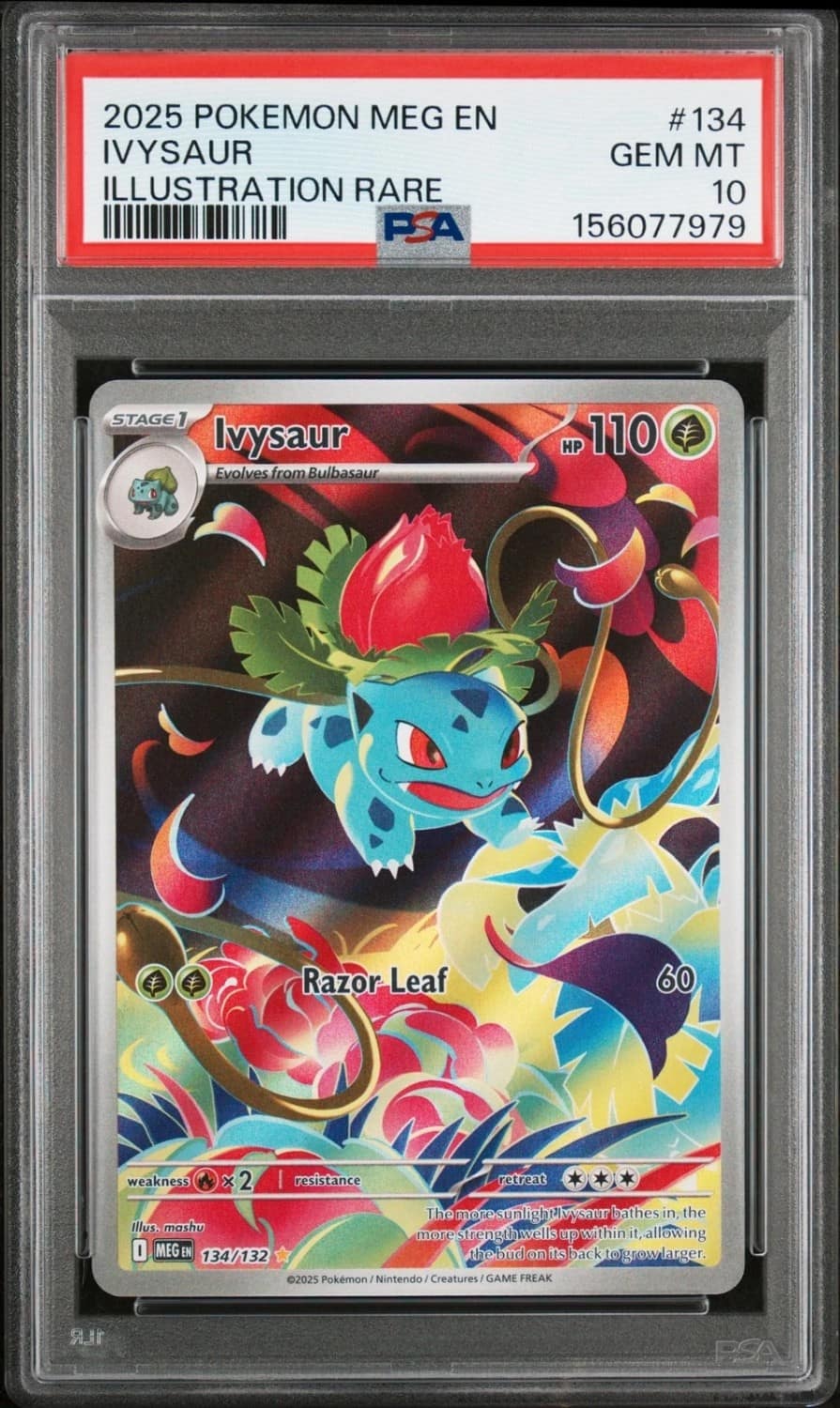 Ivysaur