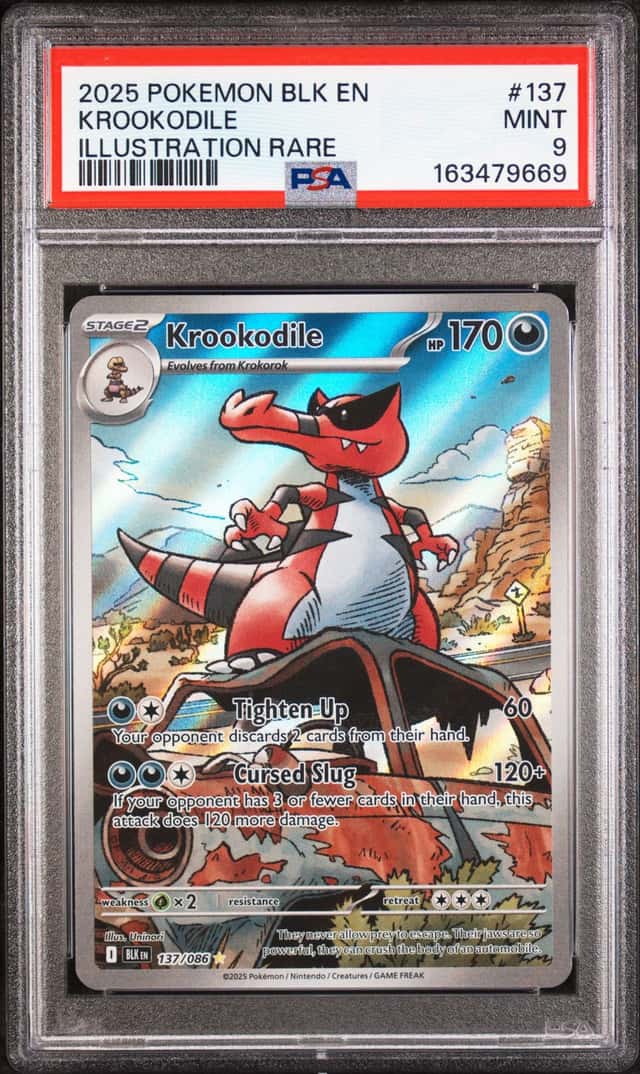 Krookodile