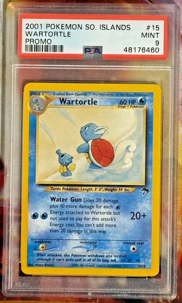 Wartortle