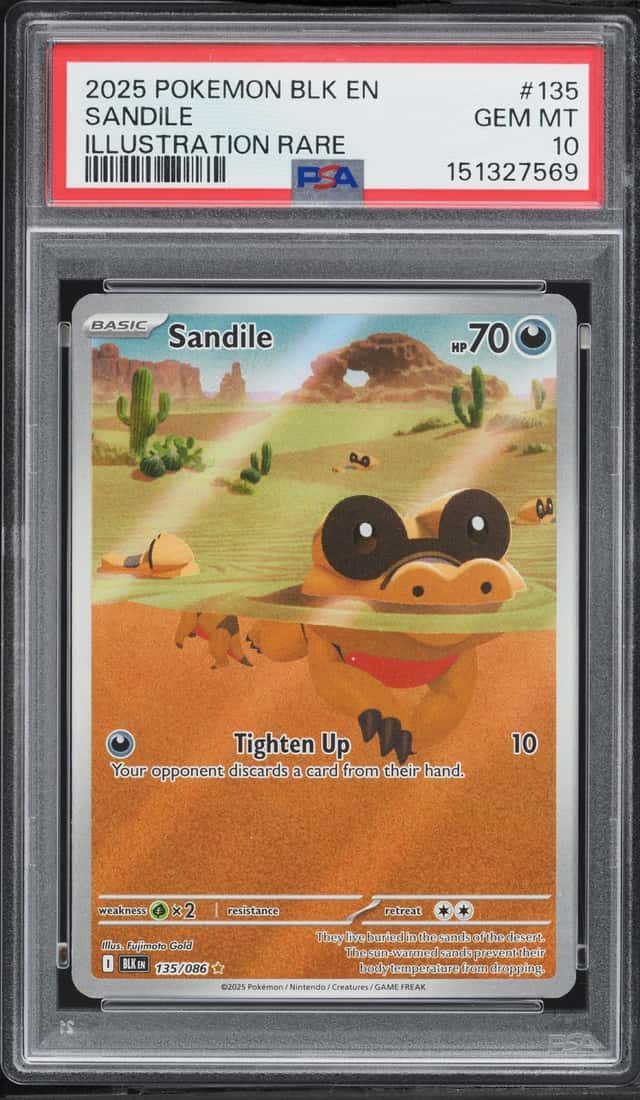 Sandile
