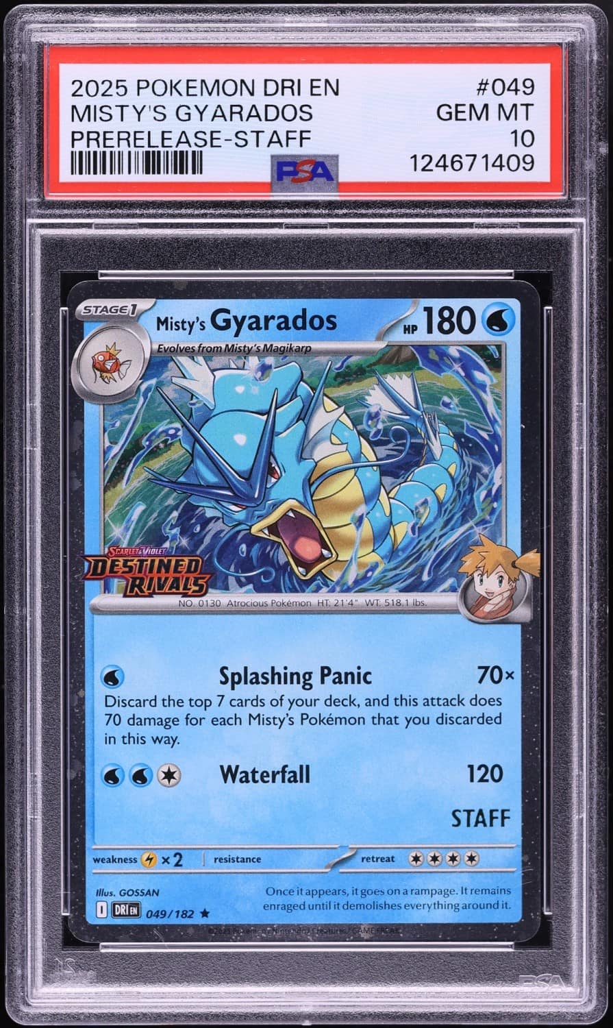 Misty'S Gyarados