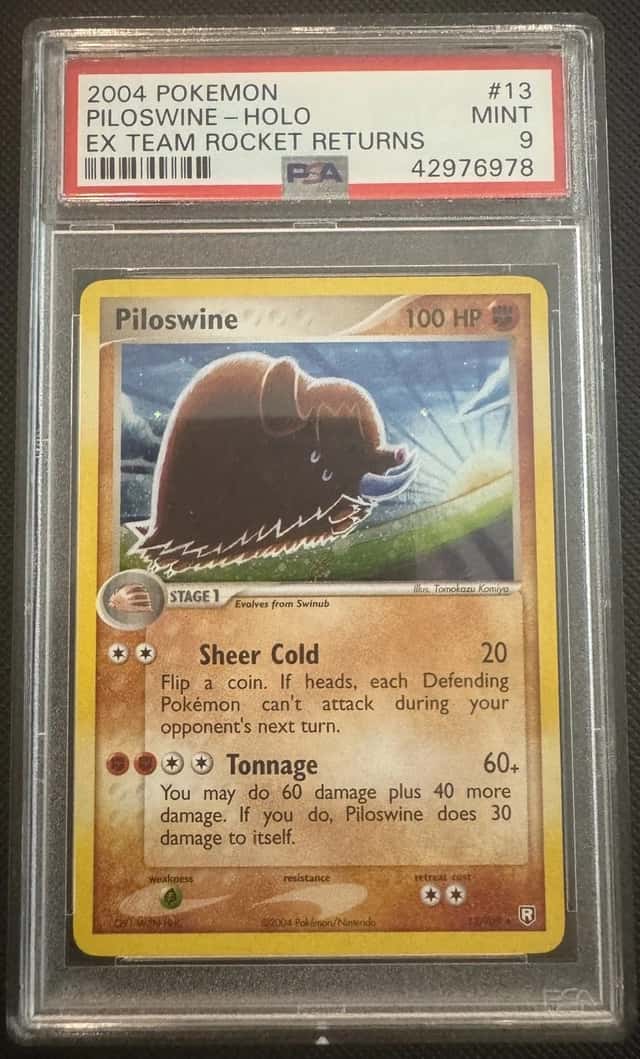 Piloswine