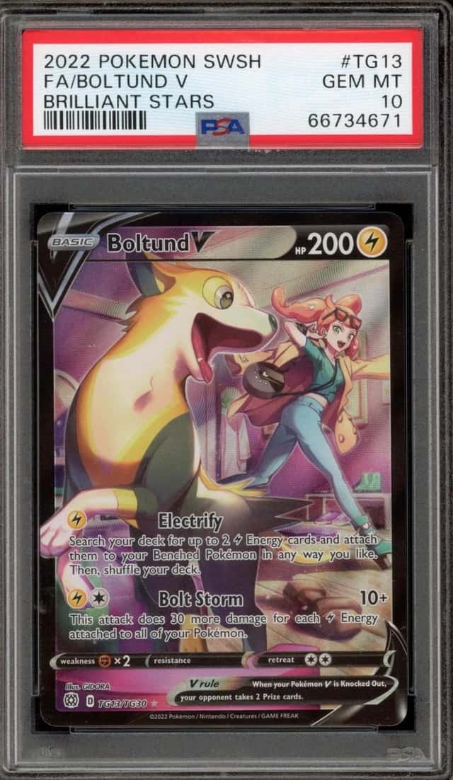 Boltund V